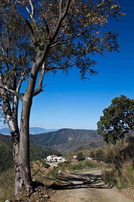 Cortijo Juan Salvador Hostal Olías Exterior foto