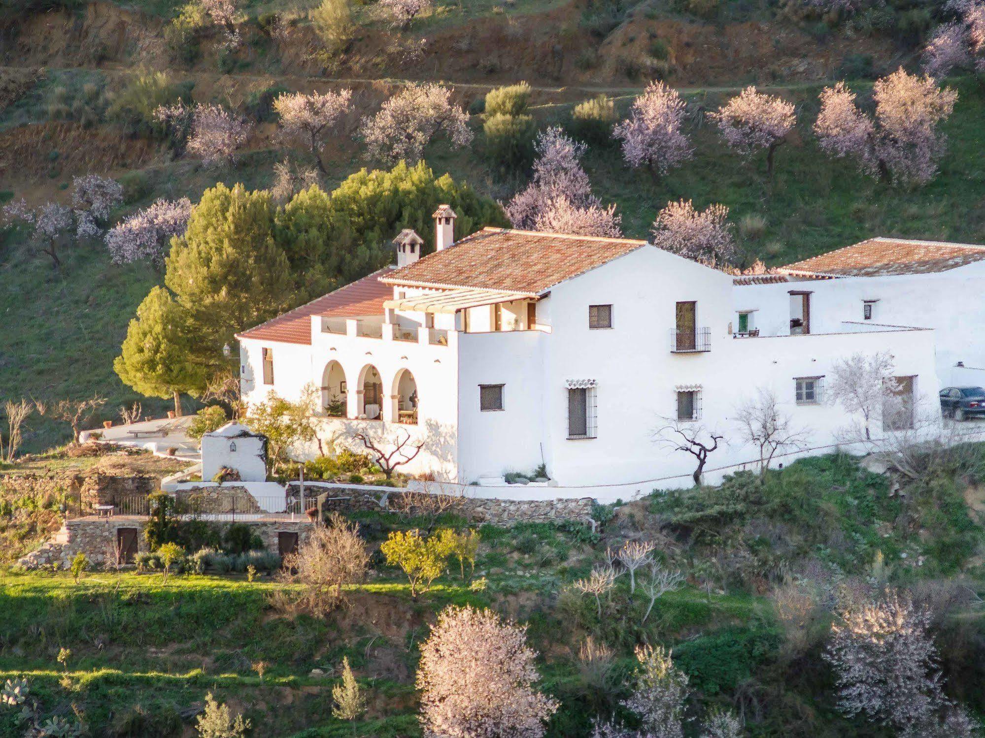 Cortijo Juan Salvador Hostal Olías Exterior foto